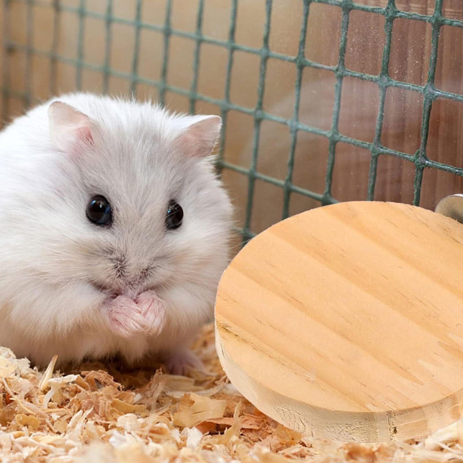 

Клетка для маленьких питомцев – Хомяк, Попугай для & Белка One Size