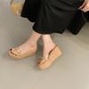 2026 Internet Celebrity Summer New Fashion Outer Wear Thick-soled Wedge Sandals Waterproof Table Women's Shoes Transparent High-heeled Cool Slippers