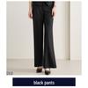 2025 Women's Autumn Black Pantsuit: Elegant Business Professional Workwear