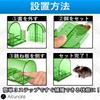 Ailunate Mouse Traps, Small Mouse Traps with Step-On Bait, Reusable Traps for House Mice, Set of 4