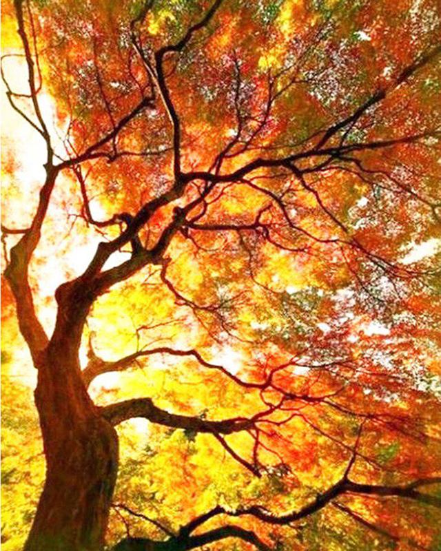 5D Diamant Malerei Landschaft Blonde Sex Frauen Diamant Stickerei Verkauf Elefant Hirsch Tier Strass Mosaik Wandkunst