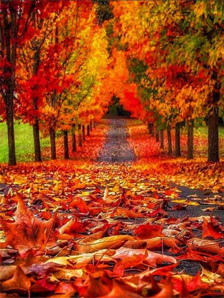 5D Diamond Painting New Arrivals Tree Bridge Full Square Round Embroidery Mosaic Landscape Home Decor