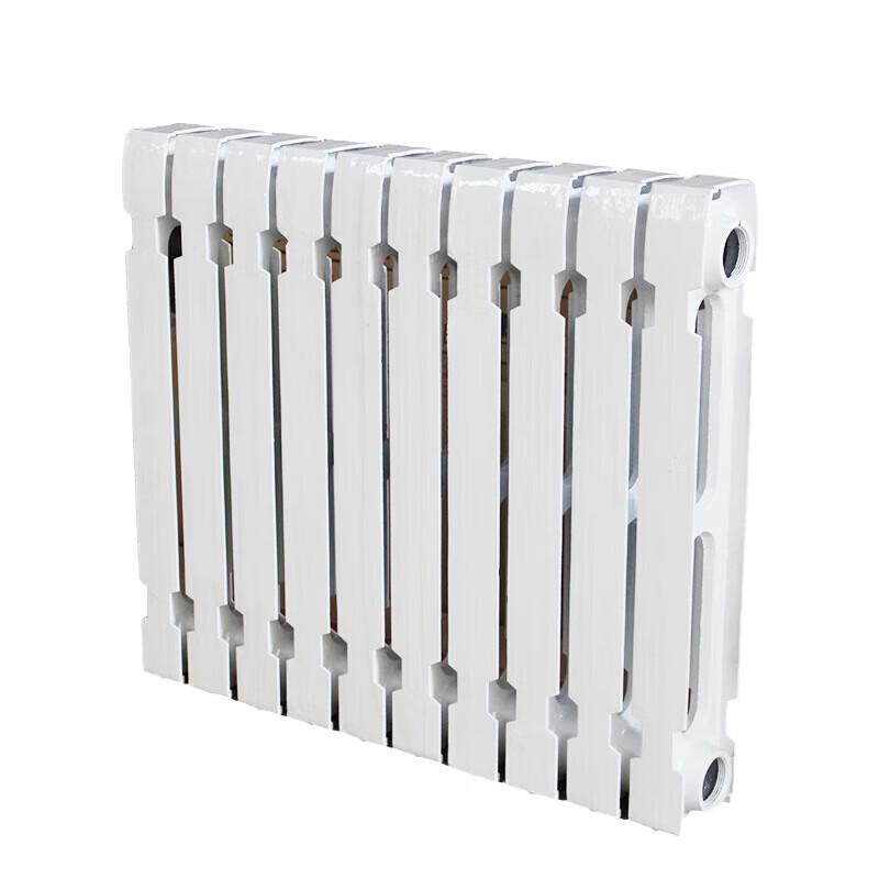 Tianjia Sprayed Cast Iron Radiator