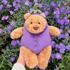 JC Bee Bär Plüschtier Weicher Heilender Begleiter Niedlicher Trend Bär Puppe Schreibtischdekoration Zimmer Geburtstag Festival Spielzeug Geschenk Für Kinder