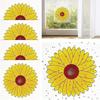 Window Fly Traps Indoor Home Use Kitchen Dinning Strong Adhesive Odorless Tool