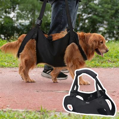 Köpek – Köpek Tasmaları ve Tasma Kayışları