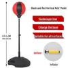 Pan Zhijian Professional Standing Boxing Speed Bag