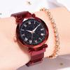 Fashionable Women Round Dial Roman Numerals Quartz Alloy Mesh Belt Wristwatch(Red)