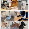 Pet Dog Leg Protector Pants for Front Leg Injuries - Warm Joint Sleeve and Knee Pad to Prevent Licking Wounds