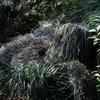 5 In 1 Ghillie Suit 3D Leaf Camo Clothing Suits Camouflage Apparel Including Jacket Pants Hood