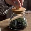 Transparent Glass Storage Jar Large Capacity Tea Storage Jar  Coffee Bean Seasoning