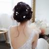 Pearl Hairstyle Tools Disk Hair Bridal Tiara Pearl Hairpin Wedding Headwear U-shaped Hairpin