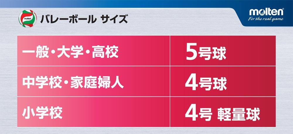 Molten Volleyball V4M4000