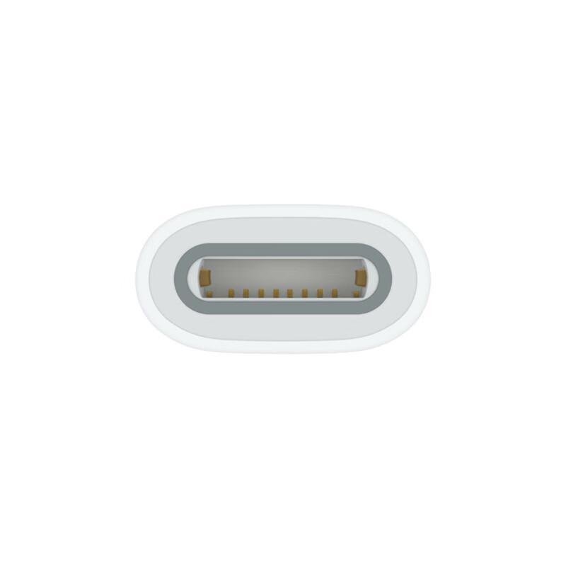 Apple Pencil (1st Gen) USB-C Adapter