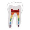 14 Styles LGBT Pride Enamel Pins Rainbow Book Cats Feather Tooth Heart Shape Brooches Lapel Badge Jewelry Gift for Partner Lover