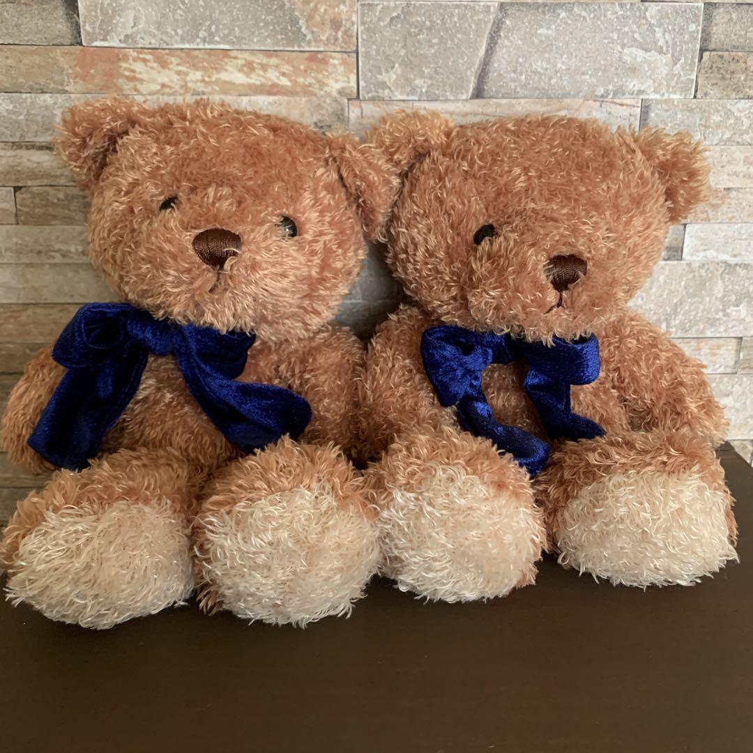 

[USED] teddy bear puppet