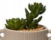 Artificial Cactus In Decorative Pot