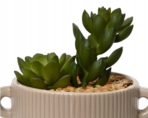 Artificial Cactus In Decorative Pot
