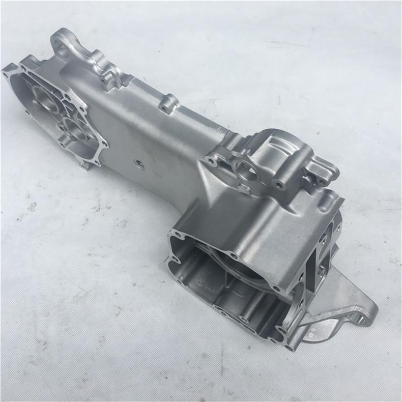 Motorcycle Accessories WH100T Joy Ou 2 Engine Crankcase Casings - Large & Small, Left & Right