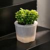 Transparent Self-Watering Round Plastic Succulent Pot