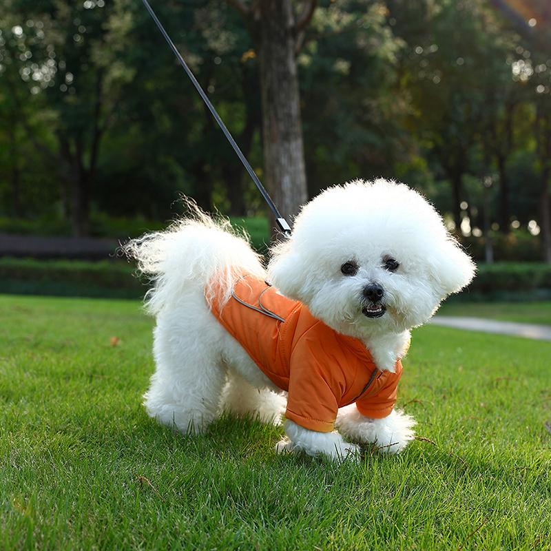Autumn and winter new thickened dog Teddy Bichon pet small and medium-sized dog clothes comfortable and warm dog clothing