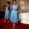 Plus Size Women's Light Blue Elegant V-neck Dress 3D Floral Formal Party Evening Gown