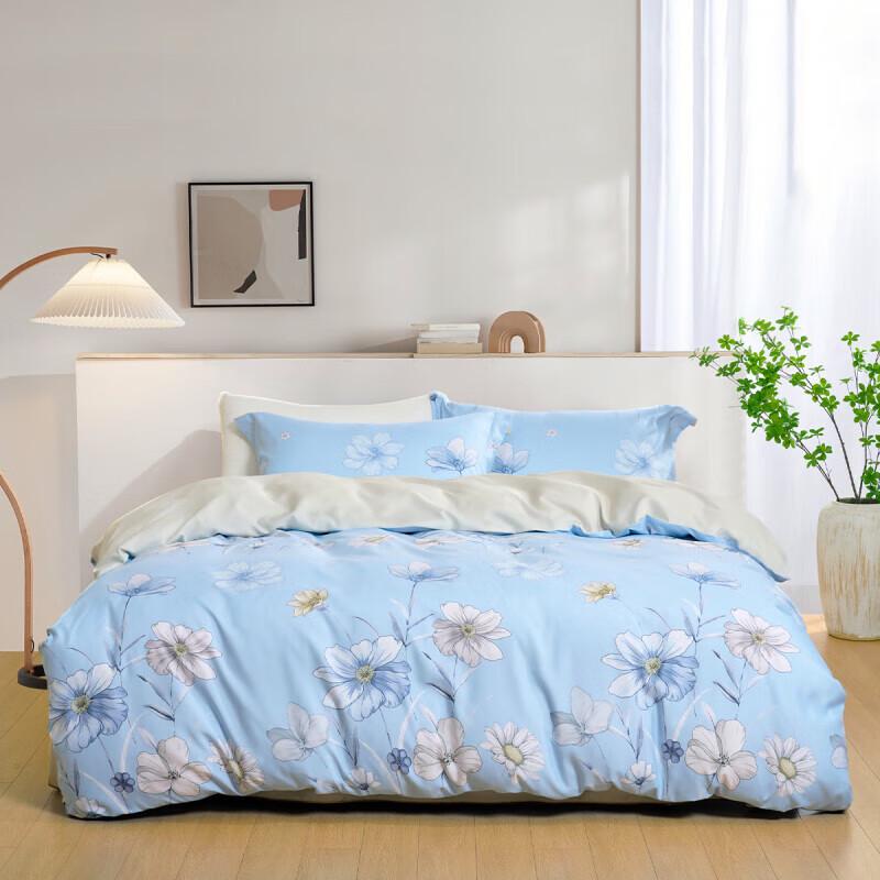 

Mercury Home Textiles Yimeng Huajian Brushed Printed 4-Piece Bedding Set