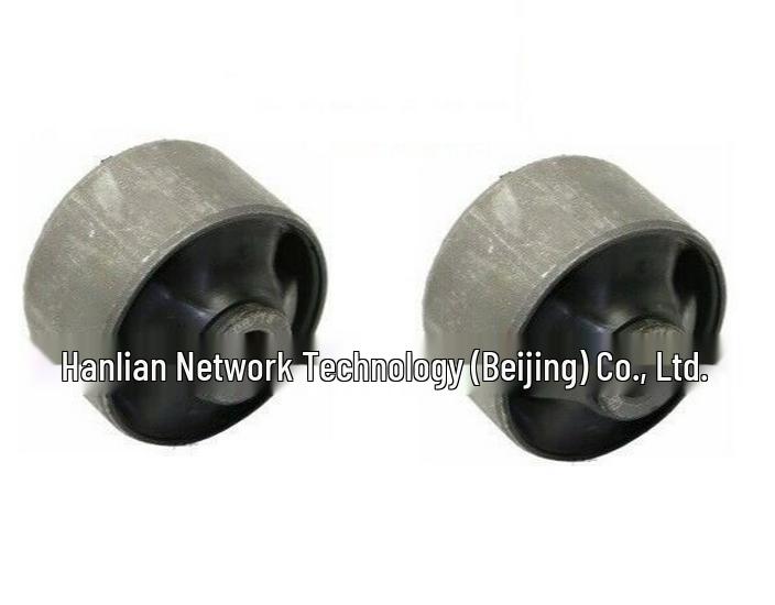 Suspension Bushing 54584-3X000 for Accent & Elantra