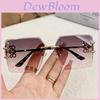Ochelari și accesorii – Ochelari de soare