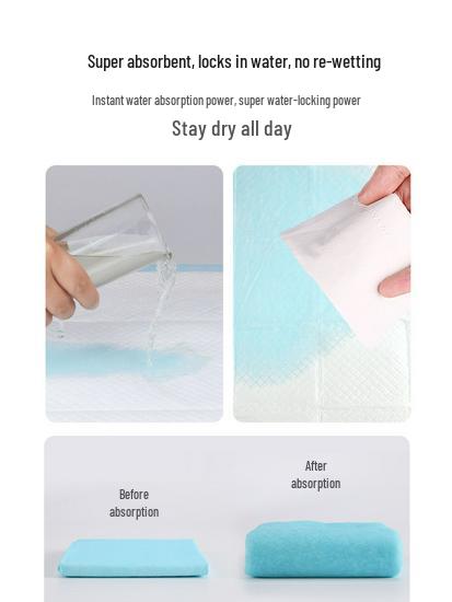 Dog Pee Pads - Deodorizing, Absorbent & Thickened (100 Pack) - Disposable Pet Diapers