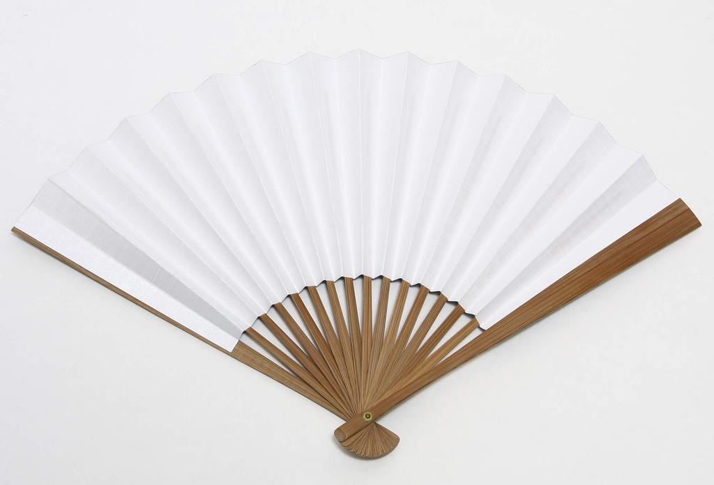 Hasegawa Men's Large Folding Fan with Pouch, Wooden Box, Made in Japan (Dragonfly/Navy)