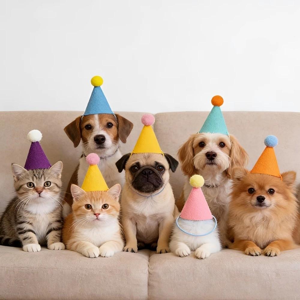 6/12/24Pcs Colorful Pet Party Hat for Stuffed Animals Dog Party Headdress Cone Birthday Hat Animal