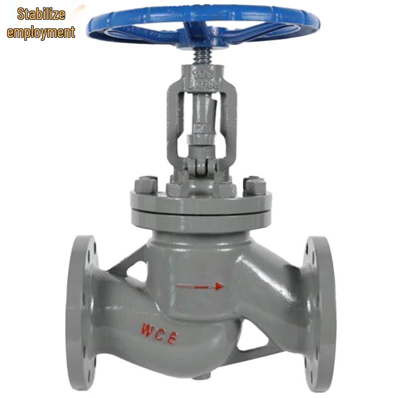 Wengong J41H Flange Globe Valve