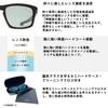 Daiwa Polarized Sunglasses Gray DN-8036