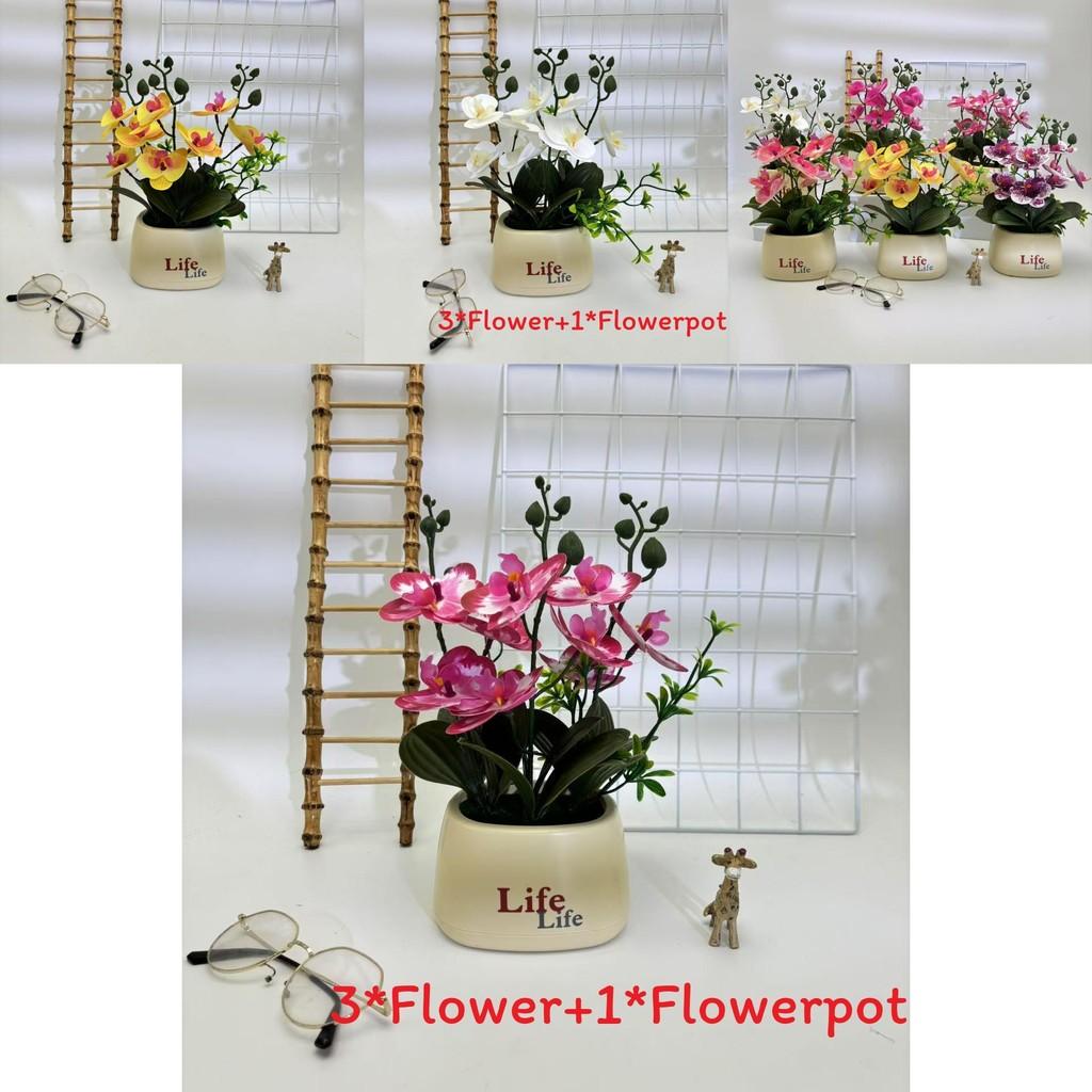 Butterfly Orchid Artificial Plant For Photography Decor And Home Styling