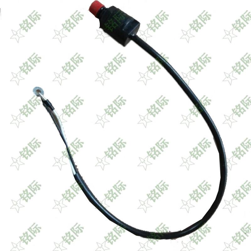 Outboard Engine Kill Switch Key & Lanyard