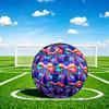 1 Stück Regenbogen Fliege Thema Fußball, Größe 5, Leichtes PVC, Fußball für das Training im Freien, Geschenk j61463