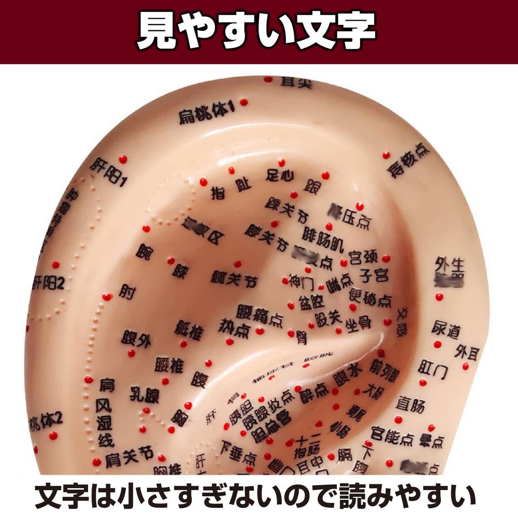 Felimoa Ear Pressure Point Model Massage Acupuncture Position Confirmation Easy To Understand Disorder Improvement Pressure Points
