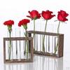 Blumenzwiebelvase mit Vintage-Holzständer für Hydrokulturpflanzen, Tisch-Glaspflanzgefäß