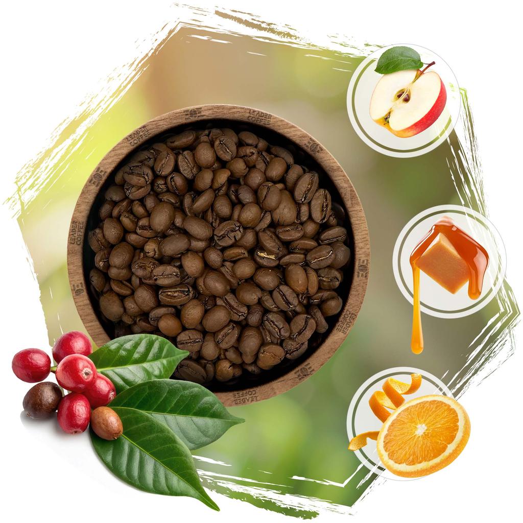 Coffee beans cafeiere Arabica Costa Rica SHB EP Tarrazu, 500 g