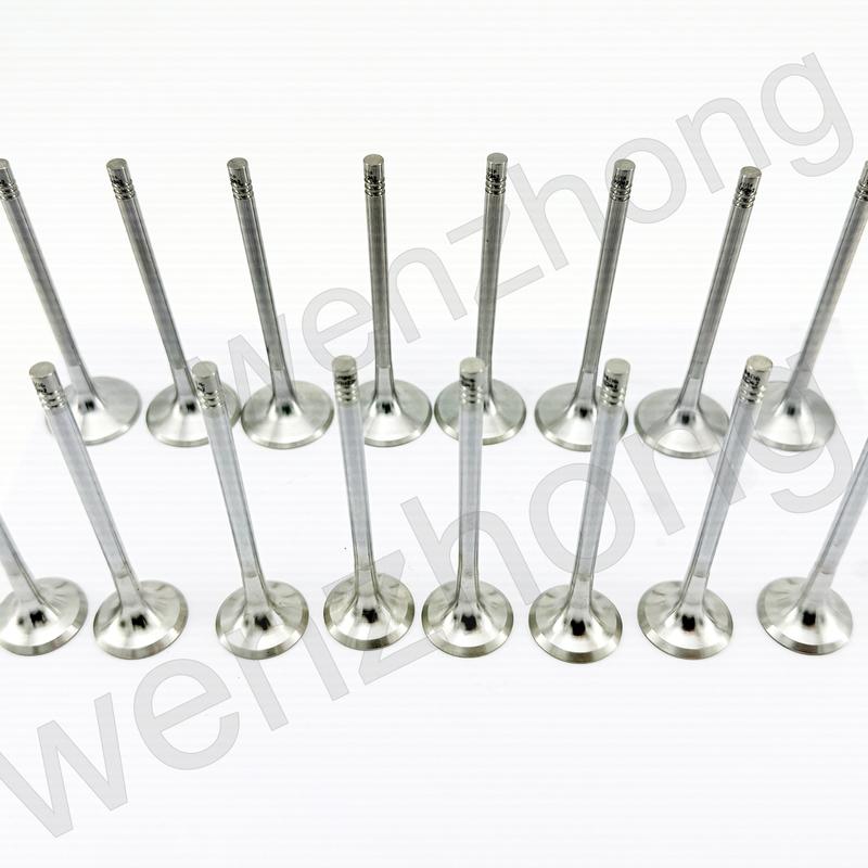 EA888-Gen3 2.0T Engine Intake Valves & Exhaust Stem Seals for A3 A4 A5 Q5 Golf Jetta Beetle Passat CC 06D109611H 06D109601M