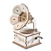 DIY Wooden Phonograph Science Kit for Kids - Build and Experiment