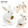 "1-9 inch Plastic Animal & Dinosaur Model Toy Set"