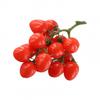 High quality Artificial Tomato Red & Yellow Fake House Kitchen Decoration