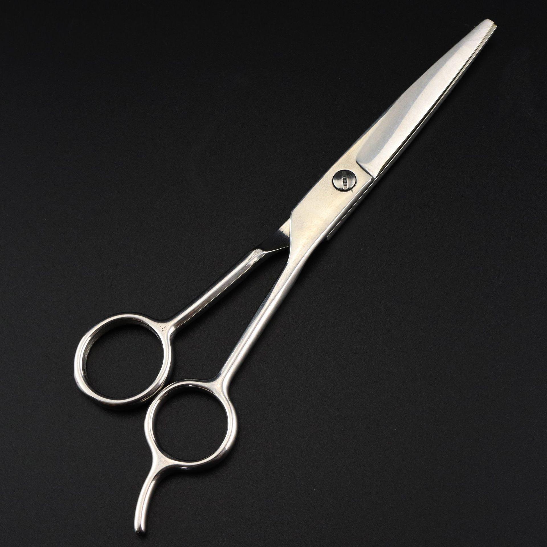 6.0 Stainless Steel Hairdressing Shears
