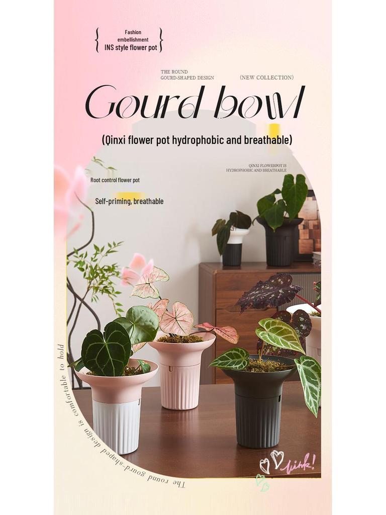 Nordic Style Large Diameter Creative Flower Pot for Phalaenopsis, Spider, and Succulent Plants