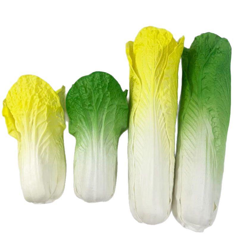 Simulation Cabbage Bok Choy Vegetables: Early Education Ornaments & Props