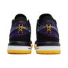 Nike Zoom LeBron NXXT Gen Lakers Herren Turnschuhe Lila Court-Lila Schwarz DR8784-500