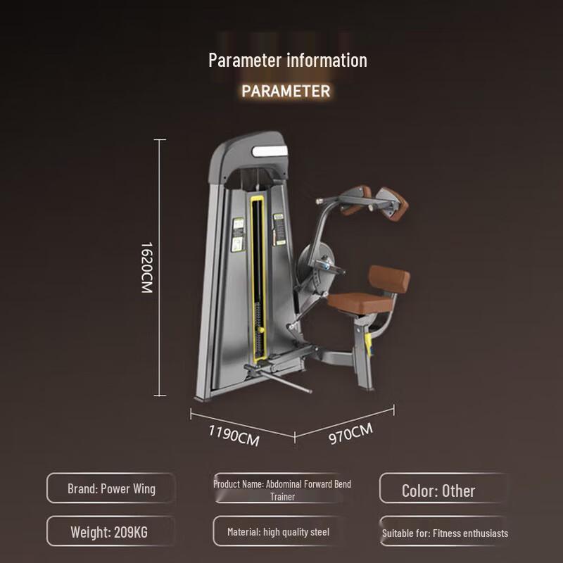 Power Wings Commercial Abdominal Trainer