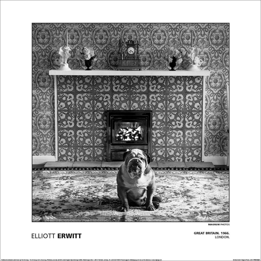 Magnum Elliot Erwitt - Great Britain London 1966 Paper Poster